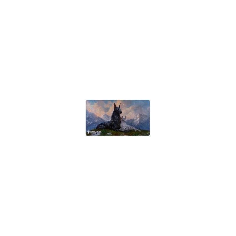Carte à Collectionner - Magic the gathering
