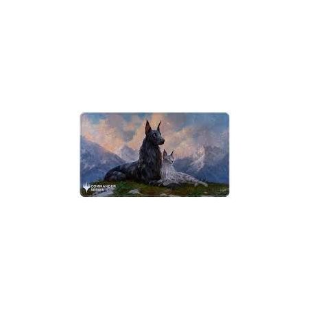 Carte à Collectionner - Magic the gathering