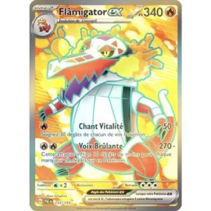 Carte à Collectionner - Pokémon