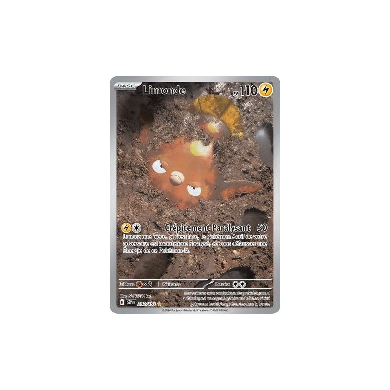 Carte à Collectionner - Pokémon