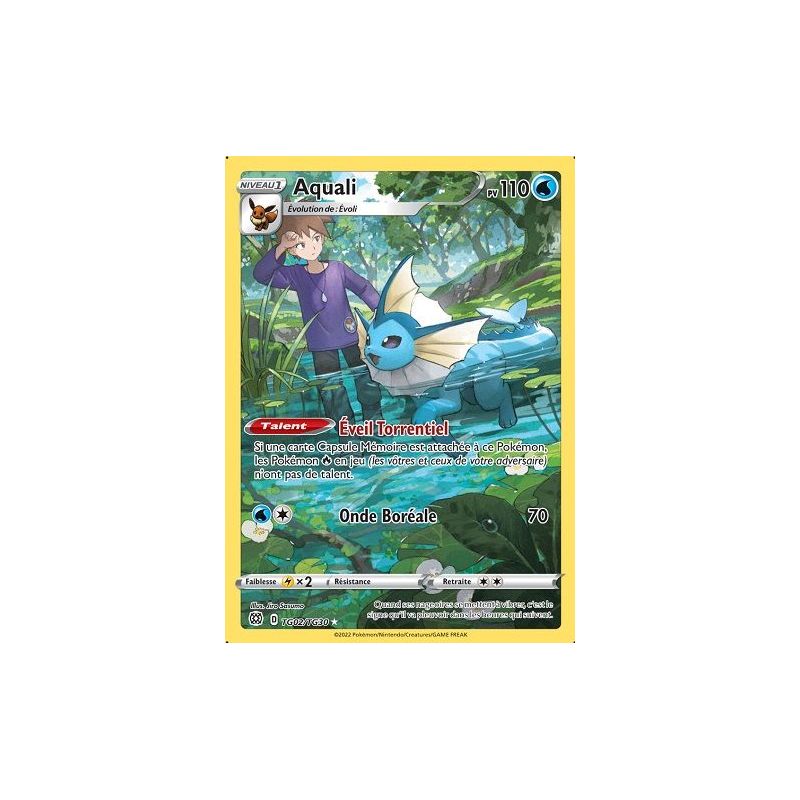 Carte à Collectionner - Pokémon