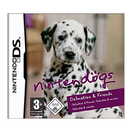Nintendo DS