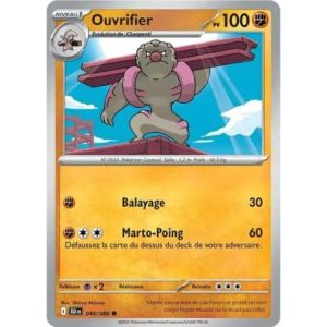 Carte à Collectionner - Pokémon