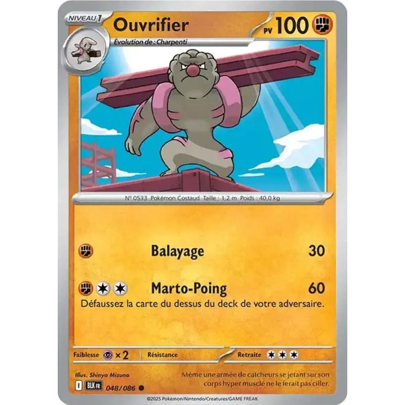 Carte à Collectionner - Pokémon