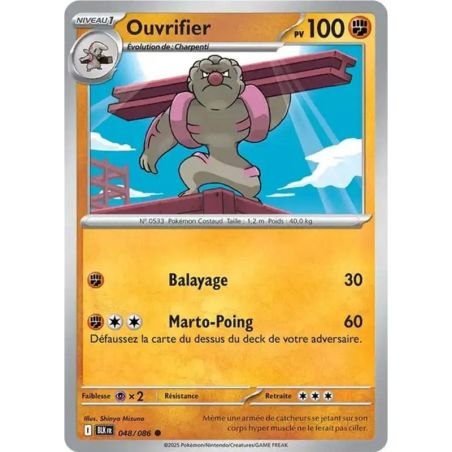 Carte à Collectionner - Pokémon