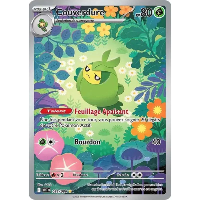 Carte à Collectionner - Pokémon