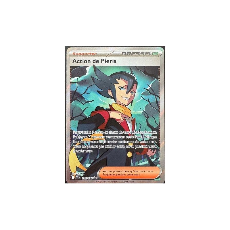 Carte à Collectionner - Pokémon