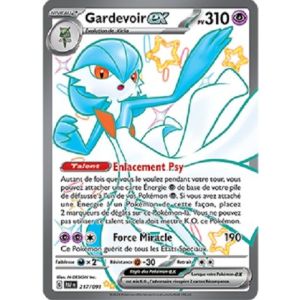 Carte à Collectionner - Pokémon