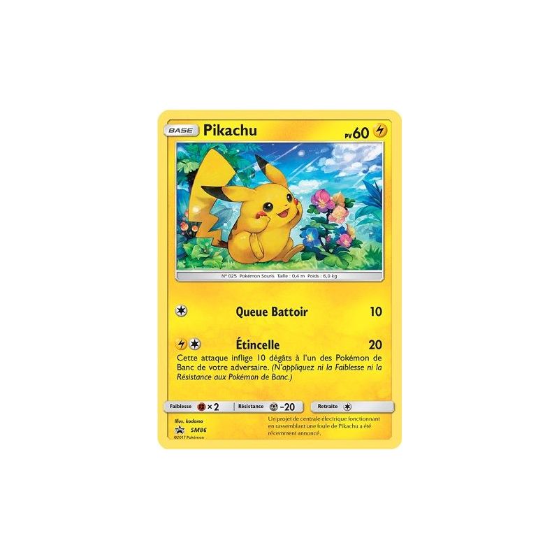 Carte à Collectionner - Pokémon