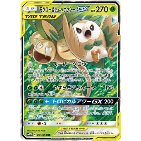 Carte à Collectionner - Pokémon