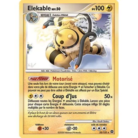 Carte à Collectionner - Pokémon