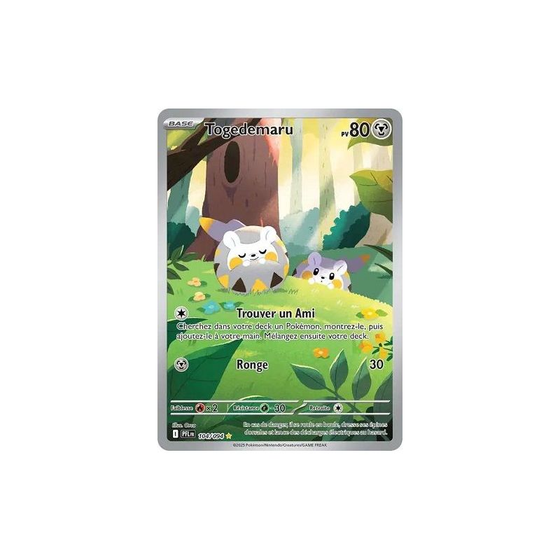 Carte à Collectionner - Pokémon
