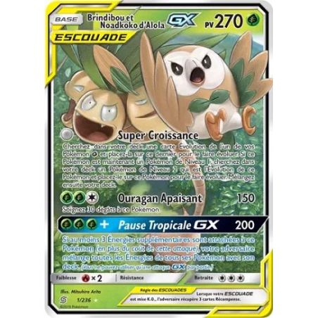 Carte à Collectionner - Pokémon