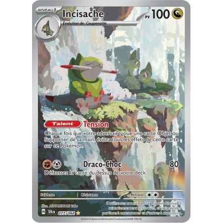 Carte à Collectionner - Pokémon
