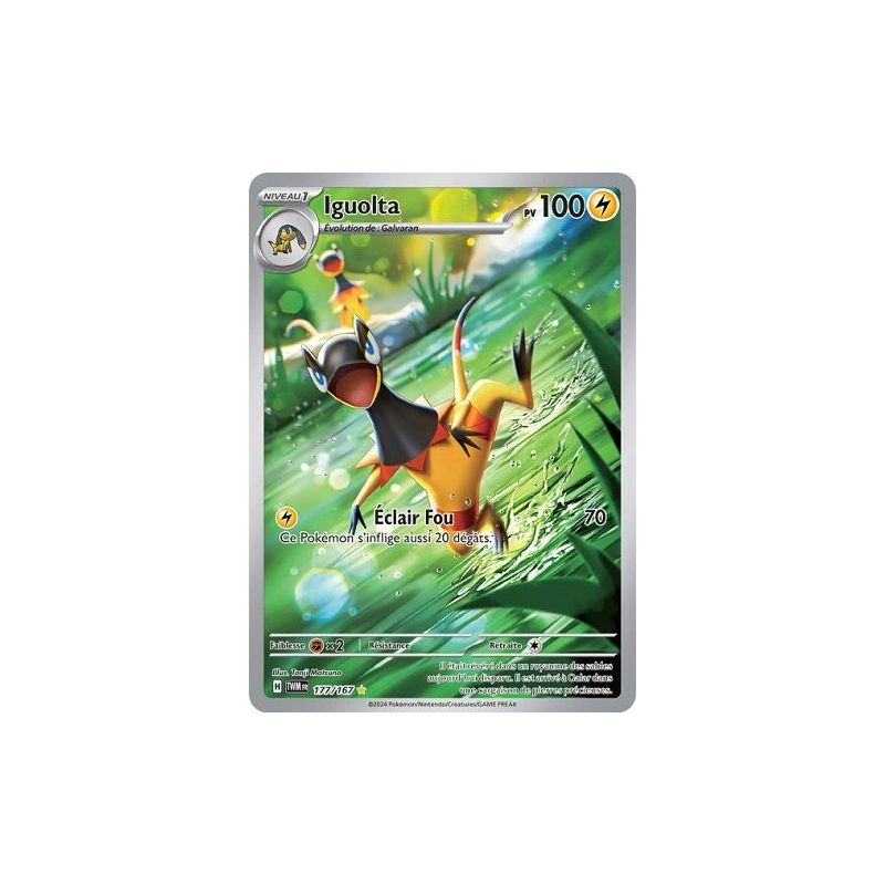 Carte à Collectionner - Pokémon