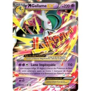 Carte à Collectionner - Pokémon