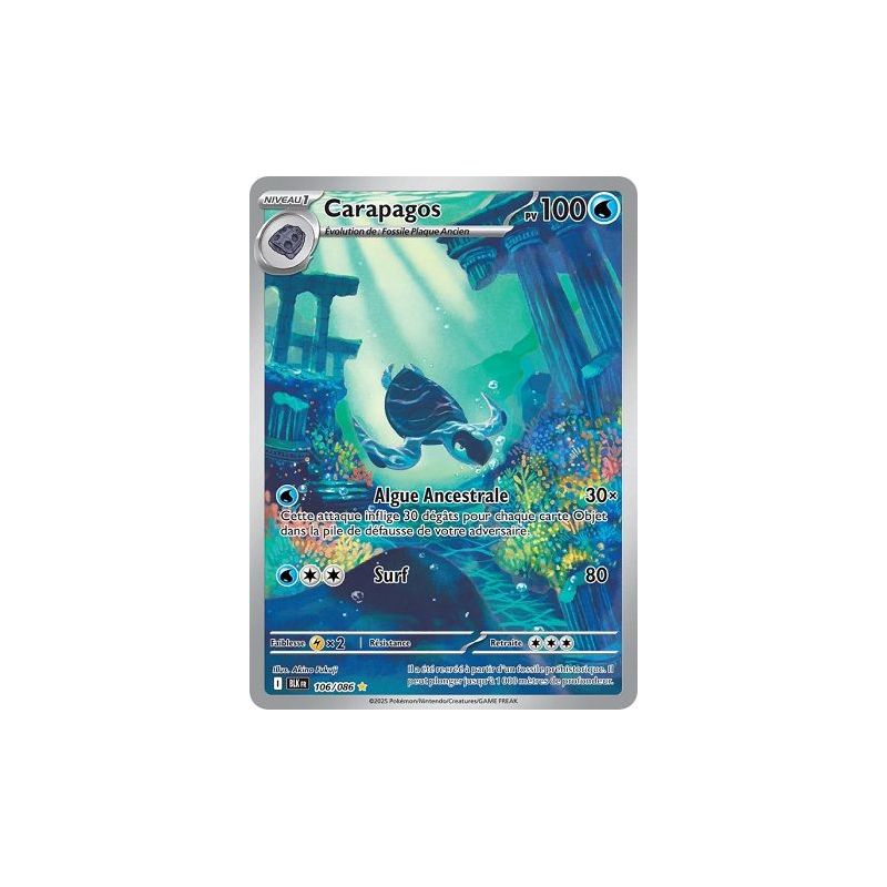 Carte à Collectionner - Pokémon