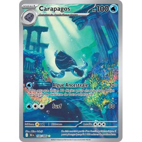 Carte à Collectionner - Pokémon