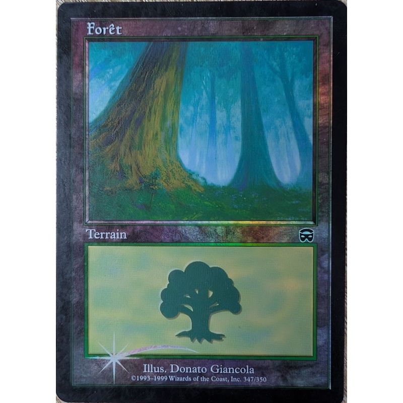 Carte à Collectionner - Magic the gathering