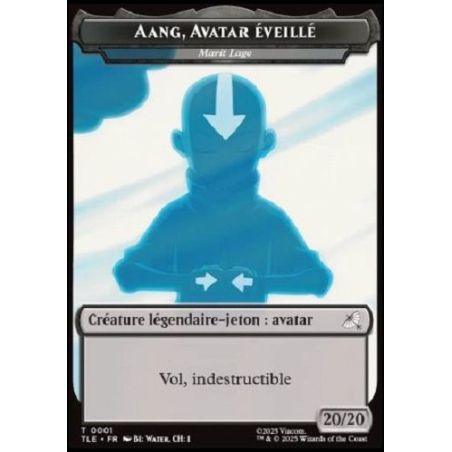 Carte à Collectionner - Magic the gathering