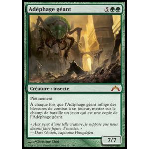 Carte à Collectionner - Magic the gathering