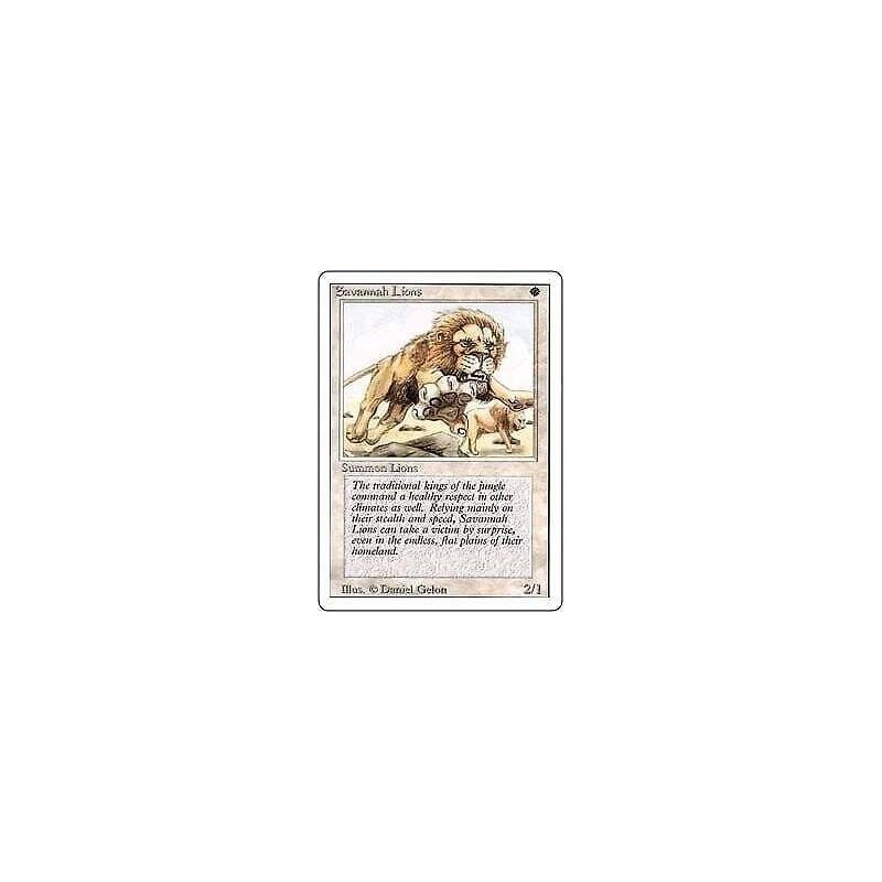 Carte à Collectionner - Magic the gathering