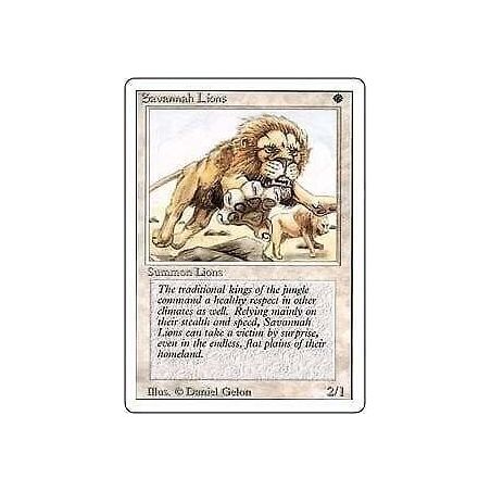 Carte à Collectionner - Magic the gathering