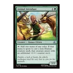 Carte à Collectionner - Magic the gathering