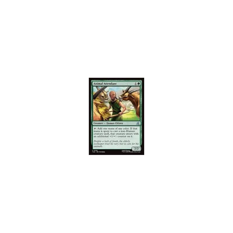 Carte à Collectionner - Magic the gathering