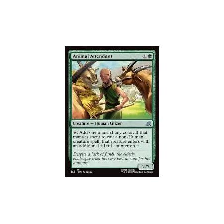 Carte à Collectionner - Magic the gathering