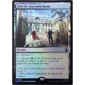 Carte à Collectionner - Magic the gathering