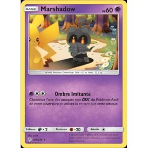 Carte à Collectionner - Pokémon