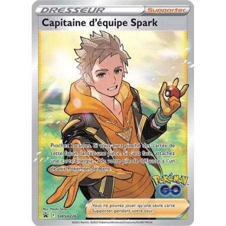 Carte à Collectionner - Pokémon