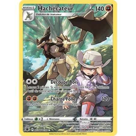 Carte à Collectionner - Pokémon