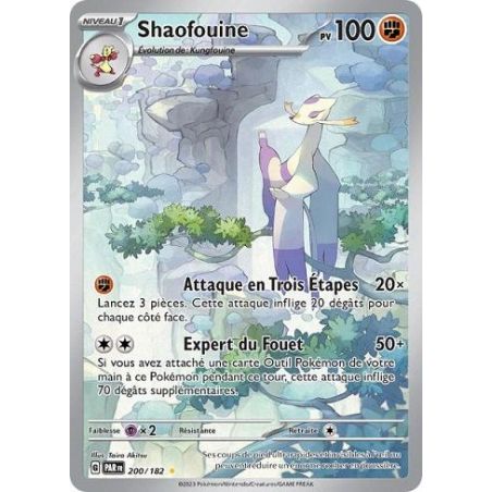 Carte à Collectionner - Pokémon