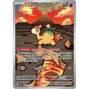 Carte à Collectionner - Pokémon