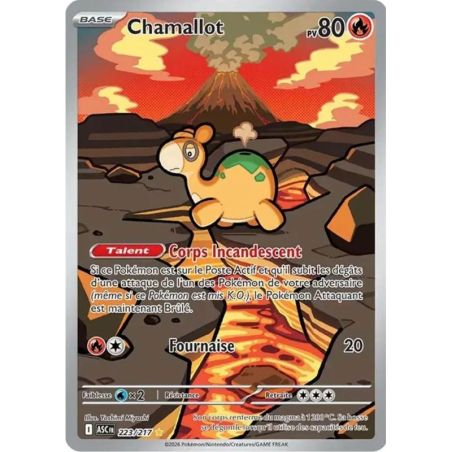 Carte à Collectionner - Pokémon