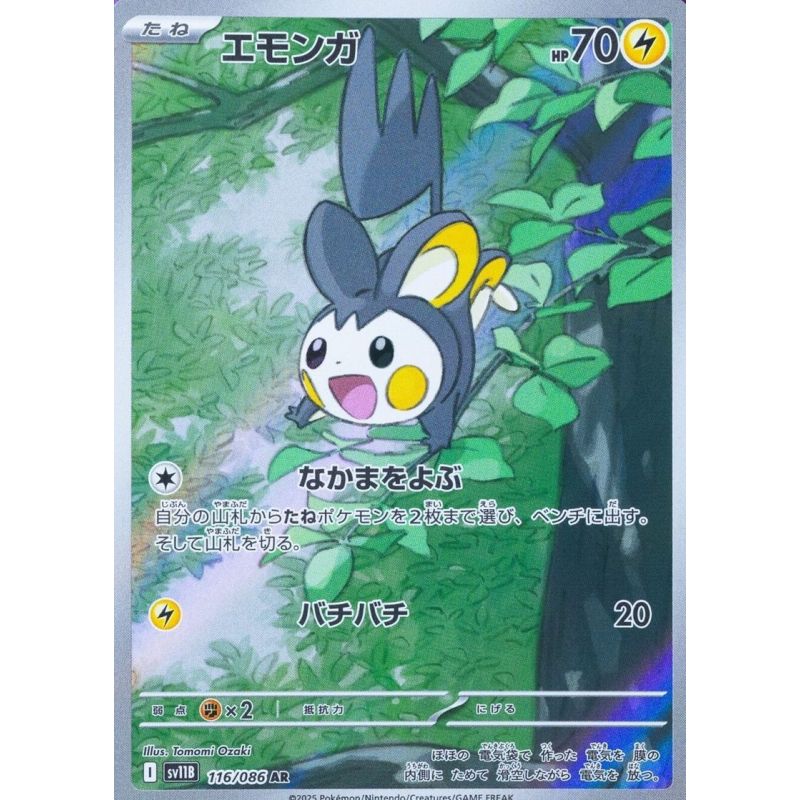 Carte à Collectionner - Pokémon