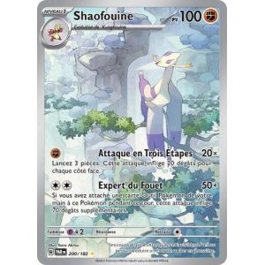 Carte à Collectionner - Pokémon