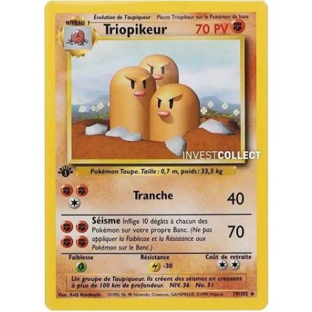 Carte à Collectionner - Pokémon