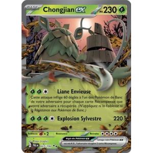 Carte à Collectionner - Pokémon