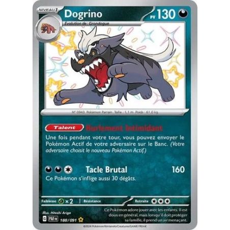 Carte à Collectionner - Pokémon