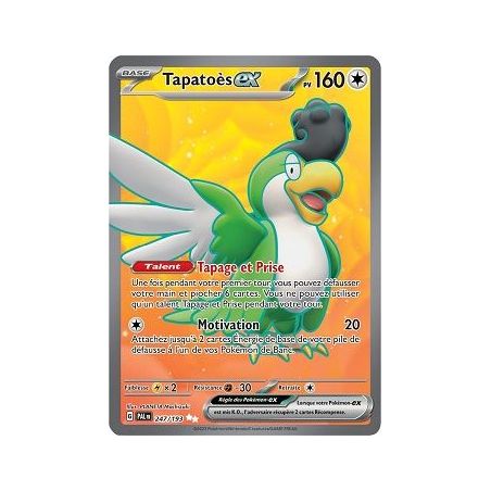 Carte à Collectionner - Pokémon