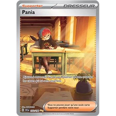 Carte à Collectionner - Pokémon