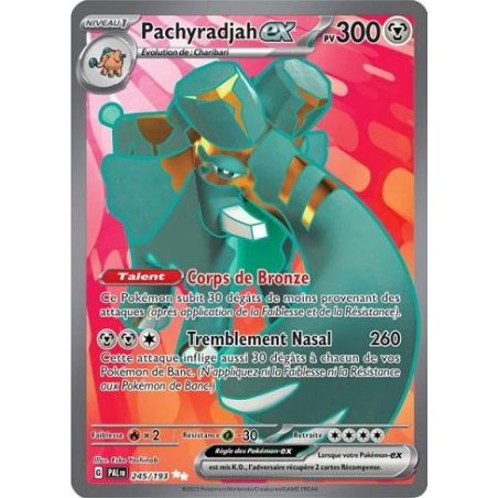 Carte à Collectionner - Pokémon