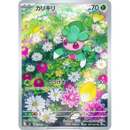 Carte à Collectionner - Pokémon