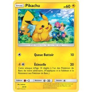 Carte à Collectionner - Pokémon