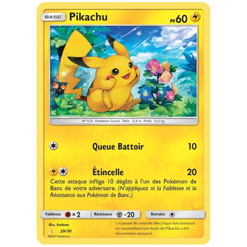 Carte à Collectionner - Pokémon