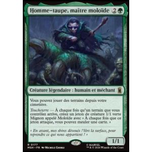 Carte à Collectionner - Magic the gathering