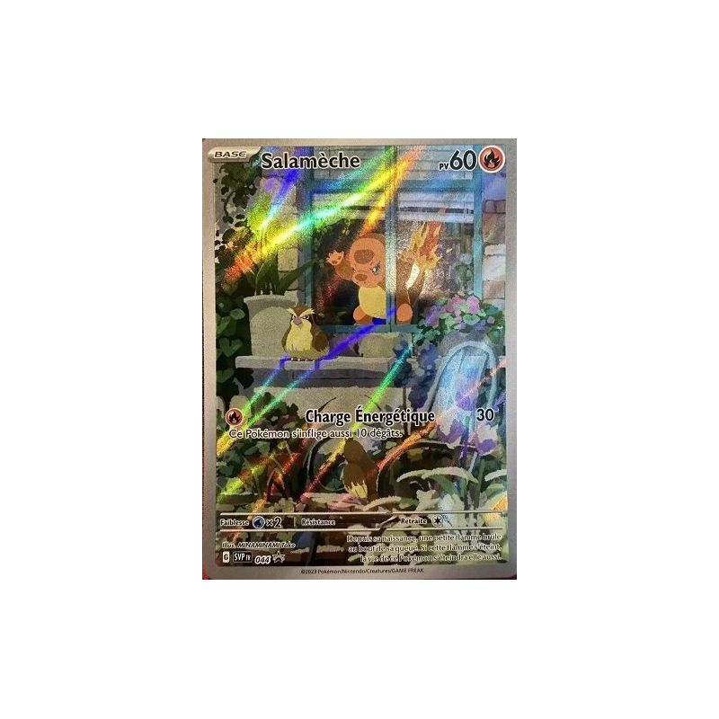Carte à Collectionner - Pokémon